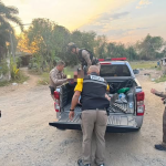 นำผู้ป่วยจิตเวชส่ง​ รพ.เพื่อรักษา